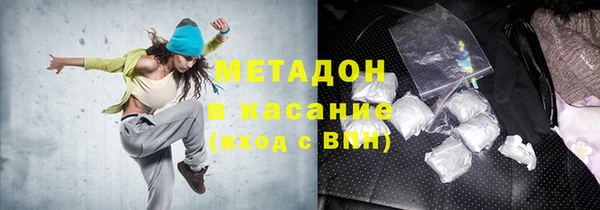 стаф Аркадак