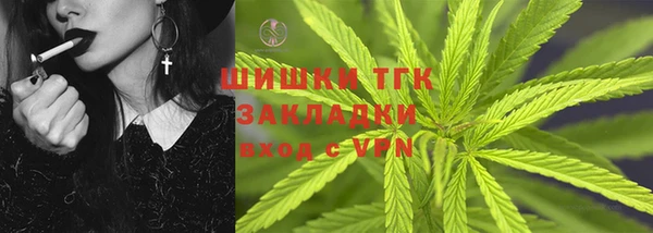 стаф Аркадак