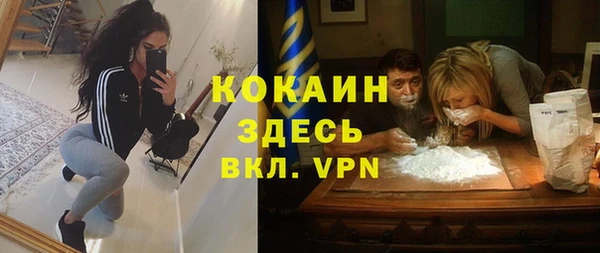 стаф Аркадак