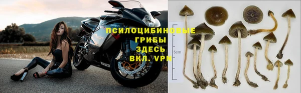соль курить ск Арсеньев