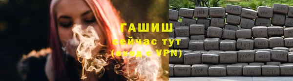 стаф Аркадак