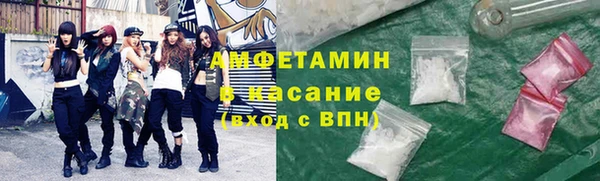 стаф Аркадак