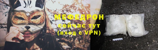 стаф Аркадак