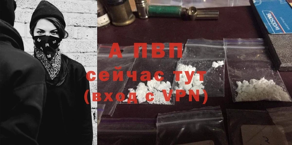 стаф Аркадак
